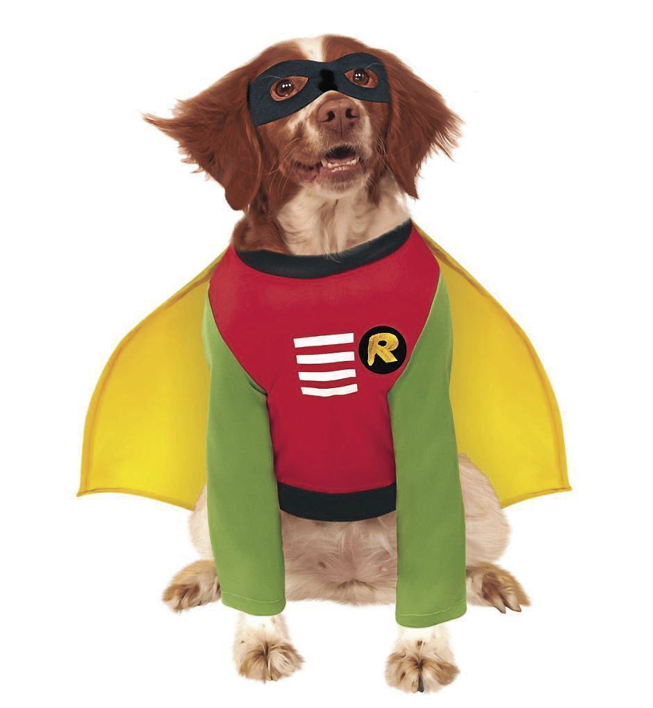 Robin